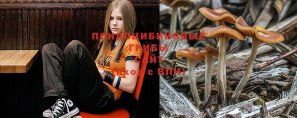 дживик Алзамай