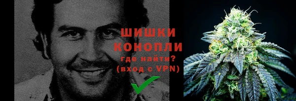 ПСИЛОЦИБИНОВЫЕ ГРИБЫ Покачи